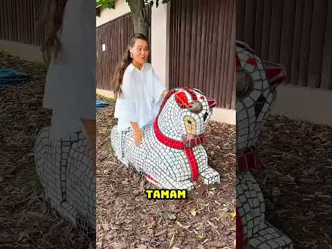 Hey panda, lütfen beni evime götür! 🐼🏠