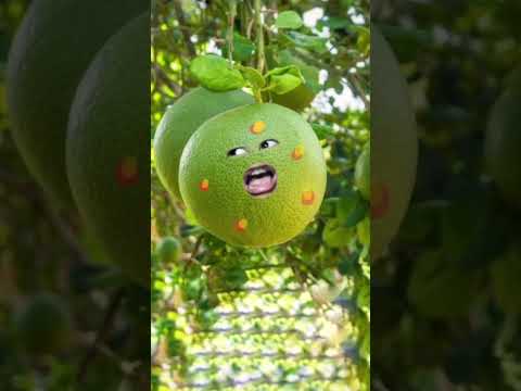 Lại đặt tên nữa hả ông trời :)) #phusayhi #thienphu #shorts