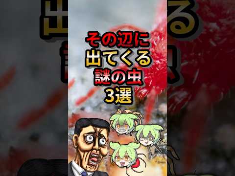 身近に出てくる謎の虫3選#ゆっくり解説 #ずんだもん #動物