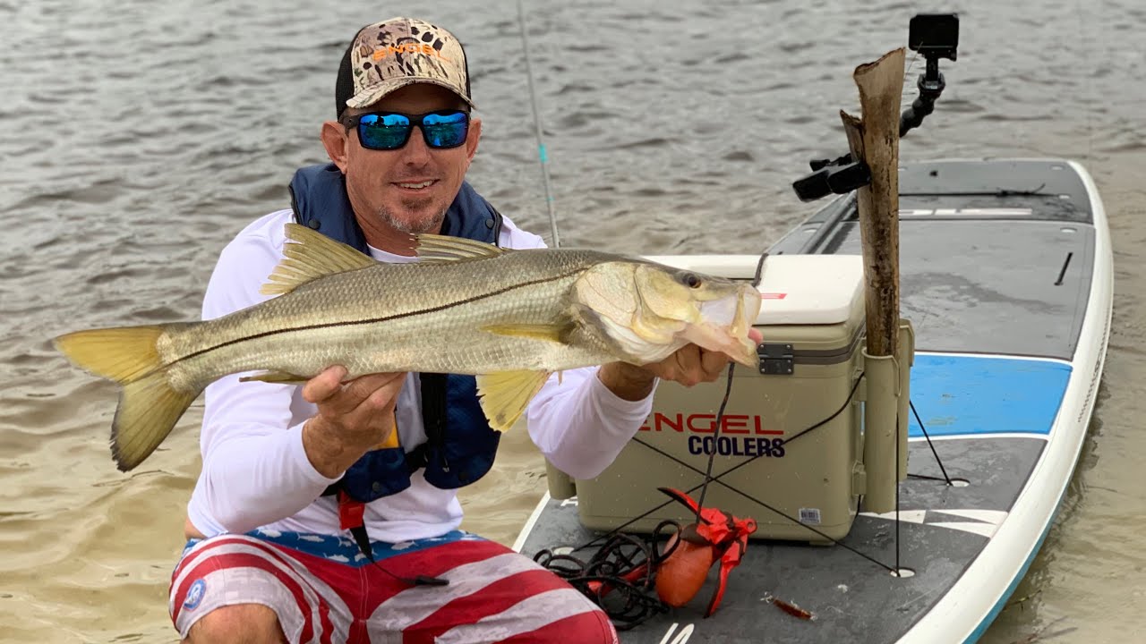 SNOOK FISHING on a PADDLE BOARD -Catch Clean & Cook Style! - Bluegabe
