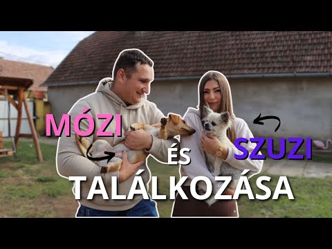 MÓZI ÉLETE 3. RÉSZ | TALÁLKOZÁS SZUZIKÁVAL | LETT KUTYAHÁZA