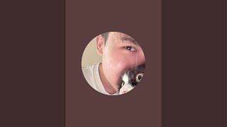Gelegar is live!
