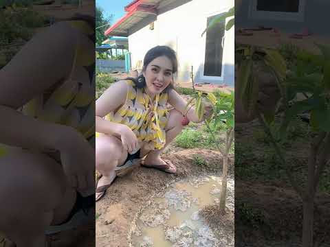 บักลิ้นจี่คือออกไวแท้พี่น้อง #funny #comedy