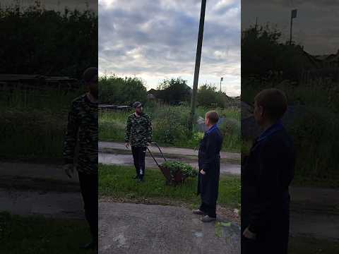 А вы так делали? #мульчирование #природноеземледелие #огород
