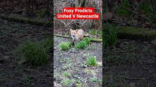 Foxy Predicts Manchester United VS Newcastle 4th March 2026