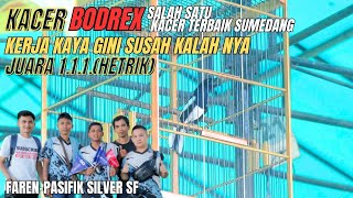KACER BODREX •SALAH SATU KACER TERBAIK SUMEDANG•KERJA KAYA GINI SUSAH KALAH NYA •HETRIK JUARA 1.1.1 