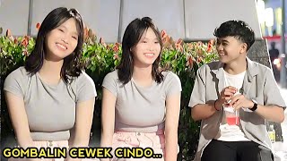GOMBALIN CEWEK CINDO.. AUTO BAPER