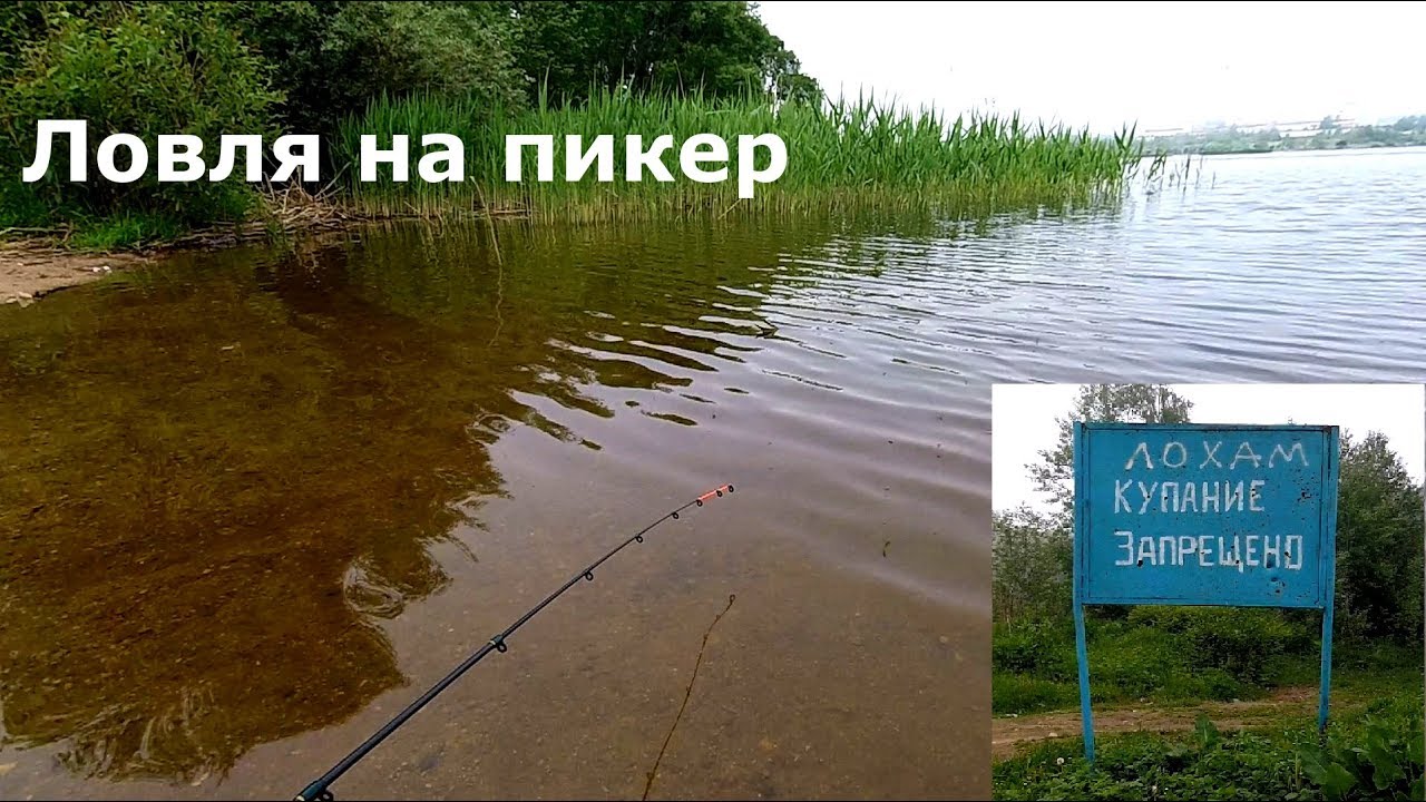 Ловля плотвы на пикер. Ожидание конца нерестового запрета на щуку