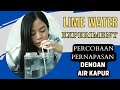 Chemical Reactions and Lime Water