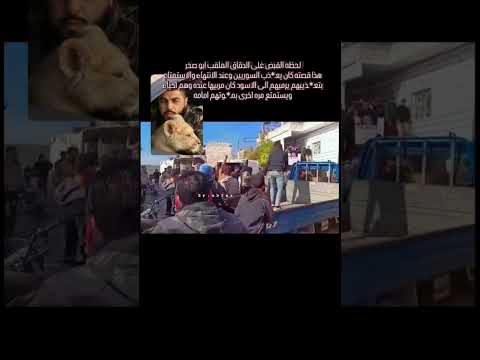 #لن_نصالح #سوريا #حلب #حماة #حمص #ادلب #دمشق #صيدنايا #سوريا_حره #حرية #درعا #foryou #fyp #اكسبلور