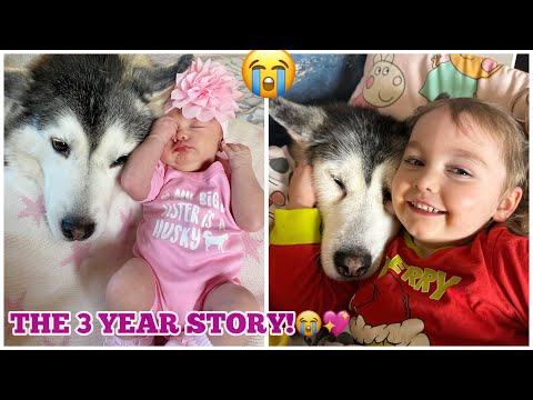 The Story Has Come To An End!💔😭.