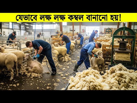দেখুন ফ্যাক্টরিতে কিভাবে ভেড়ার চামড়া ছাড়িয়ে কম্বল তৈরি করা হয়! Inside Sheep Blanket Factory