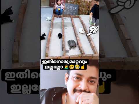for more videos please subscribe my channel 🙌Turn on Notification