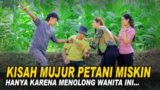 DIHINA KARENA HANYA PETANI MISKIN! TAPI DIA BERNASIB MUJUR SETELAH MENOLONG WANITA CANTIK ITU...