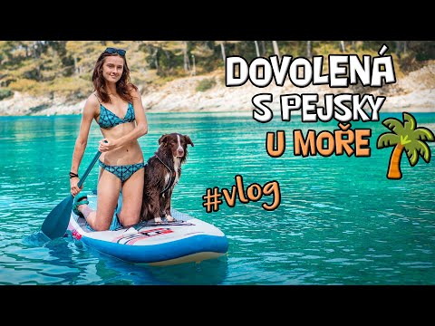 Dovolená se psy U MOŘE ❤️ | Vlog