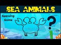 Understanding the Video Tutorial