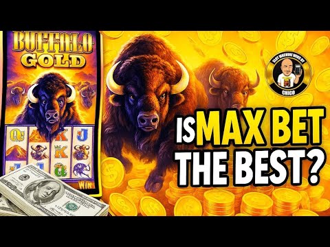 🔴 Max Betting Buffalo Gold LIVE