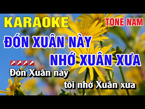 Karaoke Đón Xuân Này Nhớ Xuân Xưa Tone Nam Nhạc Sống | Nguyễn Linh