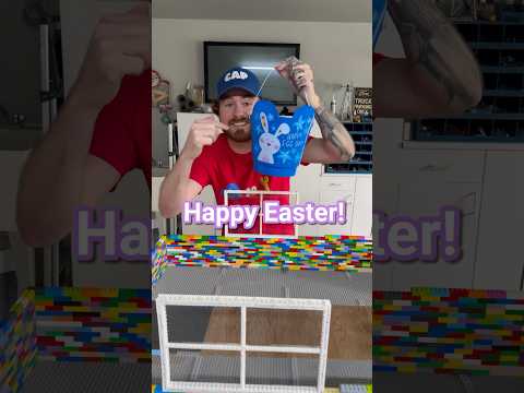 Day 37 Building LEGO Doghouse ?