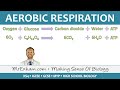 Aerobic Respiration Concepts