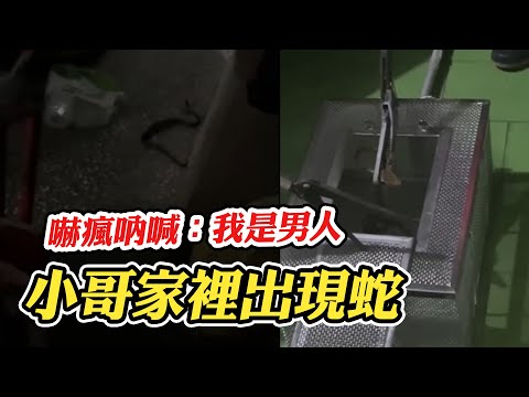 【家裡竟然有蛇】小哥嚇瘋激動吶喊：我是男人 @funny_videos