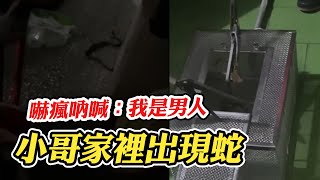 【家裡竟然有蛇】小哥嚇瘋激動吶喊：我是男人 @funny_videos