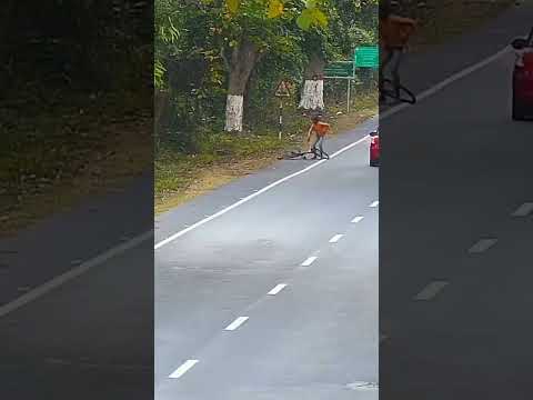 Leopards are too 😲fast!