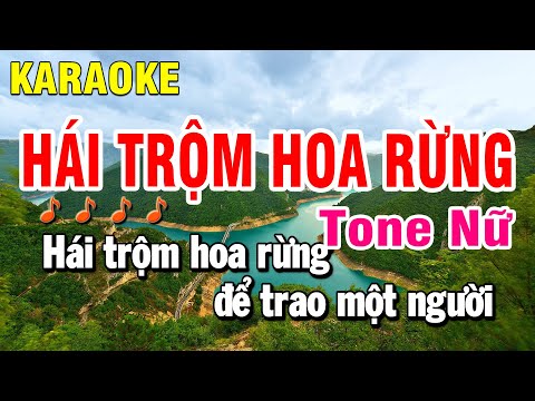 Karaoke Hái Trộm Hoa Rừng Nhạc Sống Tone Nữ | Huỳnh Anh