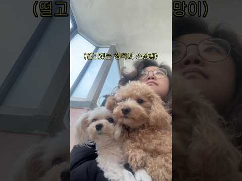 자다가 날벼락