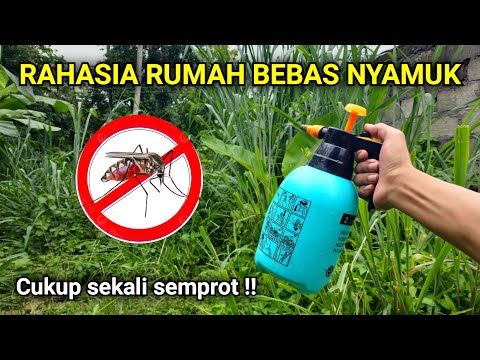 Ternyata cukup pakai ini NYAMUK PERGI SELAMANYA‼️