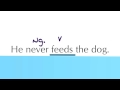 Understanding Verbs and Their Functions