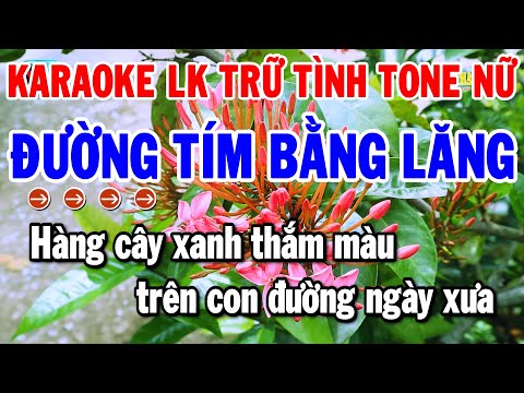 Karaoke Liên Khúc Trữ Tình Dễ Hát Tone Nữ | Đường Tím Bằng Lăng – Sầu Tím Thiệp Hồng | Thanh Hải