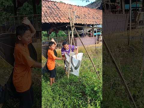 Berburu layangan yang putus #shorts