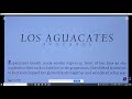 Exploring Esperanza's Journey in Los Aguacates