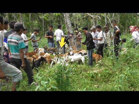 Tak disangka⁉️Tragedi Di lokasi Berburu
