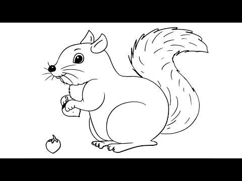 How to Draw a Squirrel Easy / गिलहरी का चित्र बनाये आसानी से / Squirrel Drawing