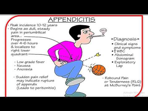 GIT practical histology =histology large intestine= liver histology=gall bladder histology