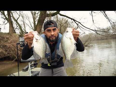 Pesca De Mojarras Y Lagarto De Río