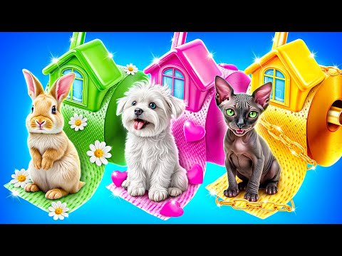 Мы построили секретные домики  для животных!