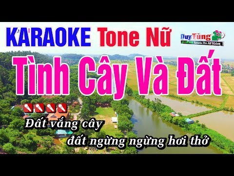 Karaoke || Tình Cây Và Đất –  Tone Nữ || Nhạc Sống Duy Tùng