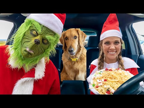 Grinch Surprises Puppy and Elf on the Shelf with Christmas Chase!