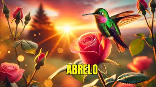 EL VIDEO MAS BONITO DEL MUNDO ABRELI LINDO MENSAJE PARA TI REFLEXIÓN DE DIOS
