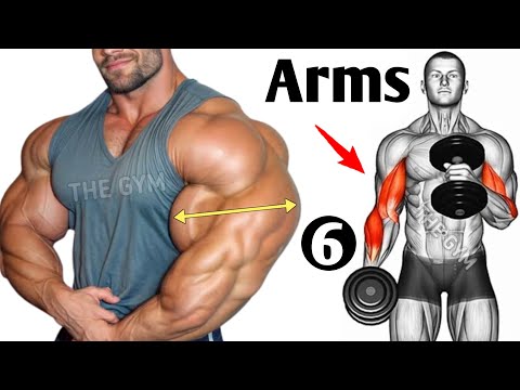 6 big arms exercises ( fastest grow your arms )