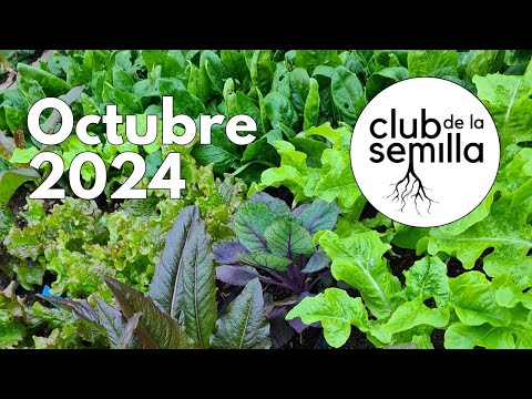 Lo que sembramos en OCTUBRE (El Club de la Semilla) 🍄‍🟫