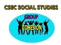 Group Cohesion and Dynamics Assessment