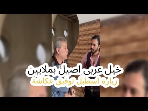 اعادة نشر - خيل عربى اصيل بملايين.. ارث الاجداد.. زيارة الى اسطبل خيل توفيق عكاشة