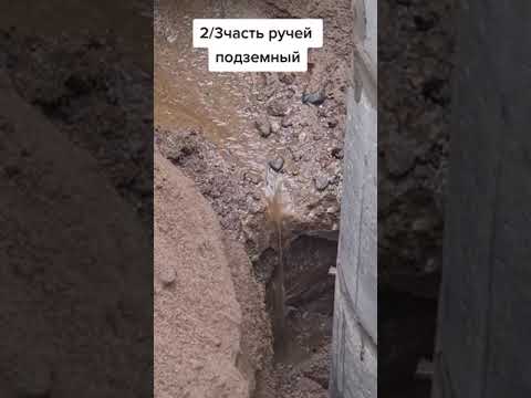 5 февраля 2023 г.