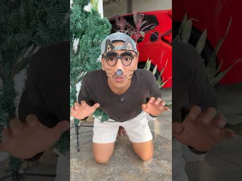 abang jadi monyet kucing dan gajah