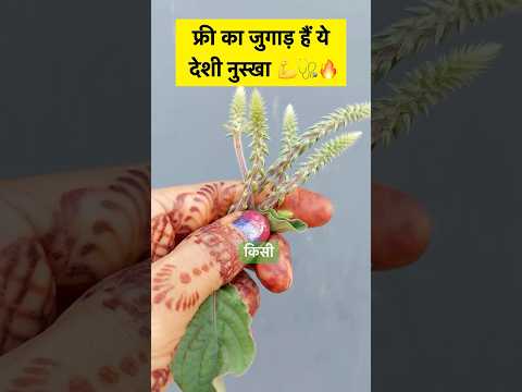 🌿 #facts #plant #farming