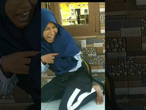 Detik2 ular menggigit  suaranya mirip anakan kambing